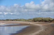 Trump plan for a wall in Clare slammed by international experts