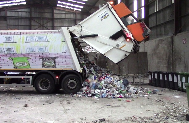 'Dead animals and concrete bricks': One third of green bin collections ...