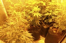 Man in his 40s appears in court after gardaí seize €200,000 worth of cannabis in Kerry raid