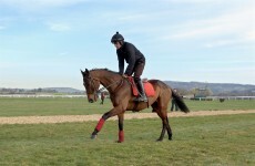 Mullins 'absolutely delighted' by Hurricane Fly workout