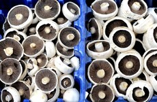 One of Ireland's biggest mushroom farms has bought a major rival - all because of Brexit
