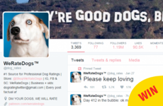 The WeRateDogs Twitter account had a simple but touching message against the refugee ban