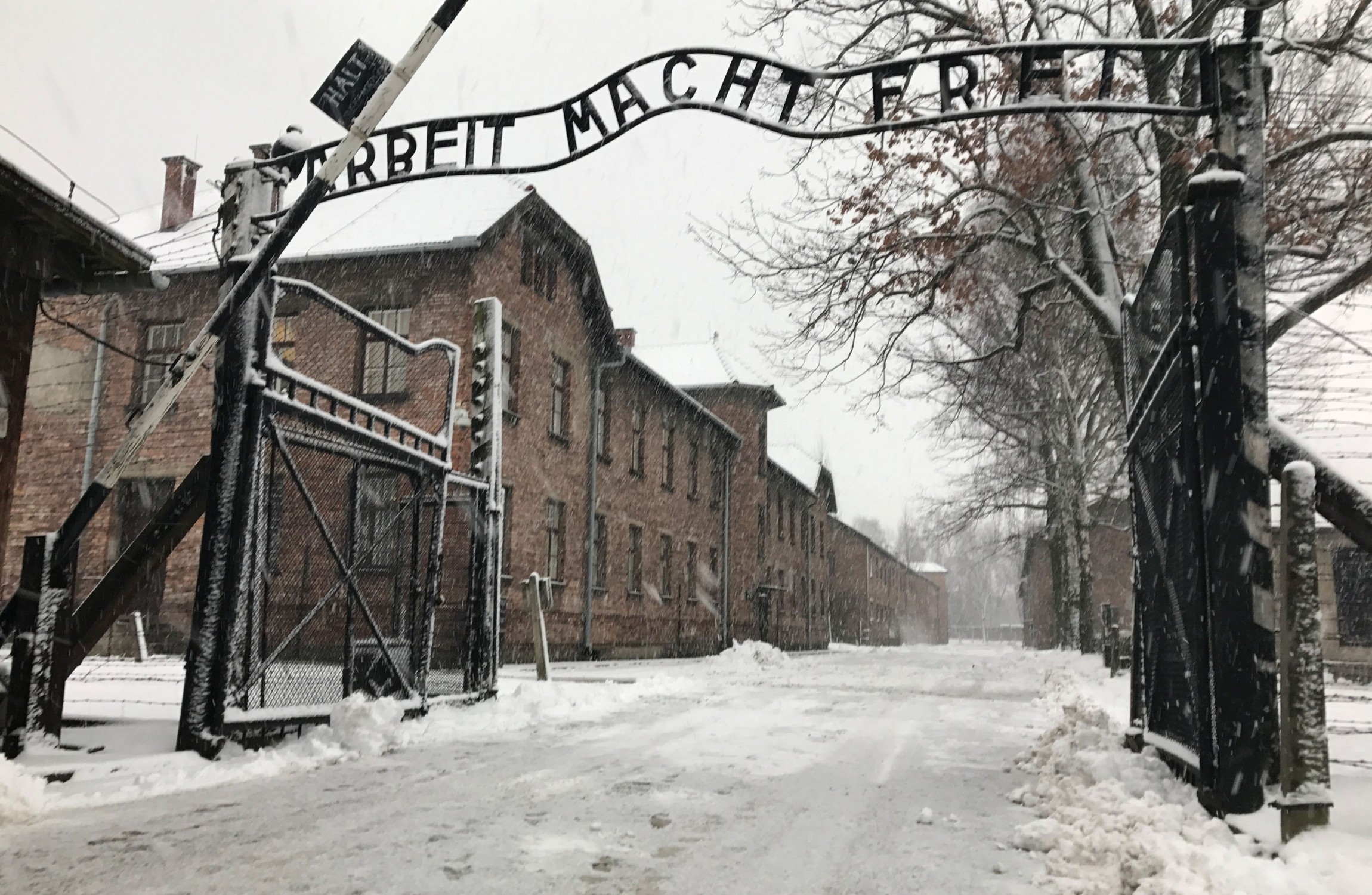 Personal Details Of 10 000 Auschwitz Staff Members Published Online   River