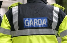Two young men charged over burglaries in Offaly