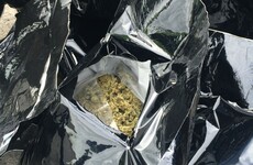 Gardaí seize over €3 million of cannabis after Ashbourne raid