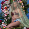 Beyoncé has just announced that she and Jay-Z are expecting twins