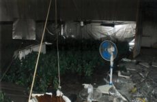 Gardaí discovered 350 cannabis plants after they were called to a house fire