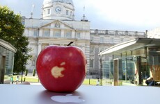 How much has Ireland's Apple tax appeal cost so far? €1.8m and counting