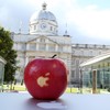 How much has Ireland's Apple tax appeal cost so far? €1.8m and counting
