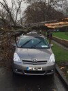Careful out there: Motorists urged to watch out for flying debris in high winds