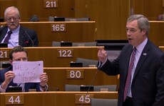 'He’s lying to you' - UK MEP explains why he held up sign behind Nigel Farage