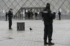 Investigators believe Louvre attacker is an Egyptian tourist