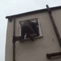 Burglar caught and jailed after he gets stuck in bathroom window