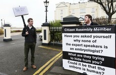 'More than five' anonymous women will have a vital say on the future of abortion in Ireland
