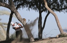 McDowell chasing leader Garcia after extreme winds cause delay in Dubai