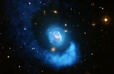 Want to live out that childhood dream of being an astronaut?