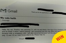 A 12-year-old girl sent this adorable email to the vet after her cat drank strawberry milk