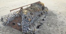 Pictures: A Cuban migrant boat has washed up on a beach in Sligo