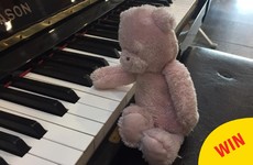 Cork Airport is adorably chronicling the adventures of a child's lost teddy on Facebook