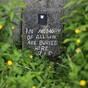 Second excavation gets underway into alleged mass grave at Mother and Baby home