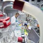 Just right: Trinity scientists find the 'Goldilocks' genes which cause disease