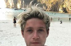 Niall Horan backpacked around Asia on a budget of €20 a night... it's The Dredge