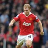 Poll: Is Fergie right to bring Scholes back?