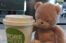 This teddy is being reunited with its owner after being left behind at Cork Airport