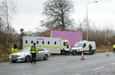 Eight people deported as gardaí mount immigration operation in Louth