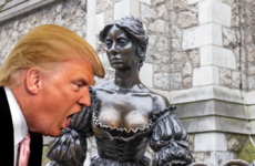 'America First' has become a giant meme, and Ireland just got in on it