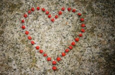 Just 14 per cent of Irish people know the symptoms of heart failure