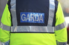Another garda whistleblower says Tusla investigation also opened in his case