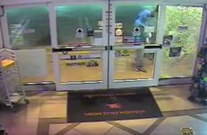 VIDEO: Two would-be burglars try to break through high-impact security glass... and fail