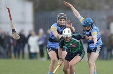 Powerful second-half helps Davy's Limerick IT see off UCD and set up semi-final with the champions
