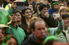 'My Ireland celebrates the underdog who pulled like a dog'