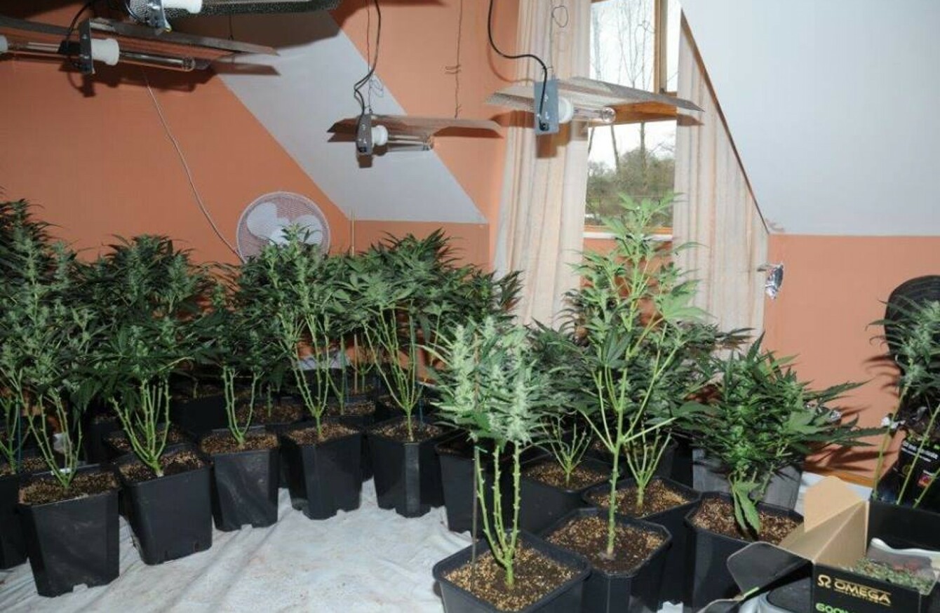 Emergency services called to house fire, discover cannabis grow house