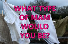 What Type Of Mam Would You Be?