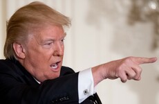 'Maybe Donald will head back to the jungle and go trump, trump, trump': The week in quotes