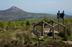 High Court overturns €40,000 damages payout to woman who fell on Wicklow Way