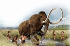 We might get to welcome the mammoth back to Earth in a few years time...
