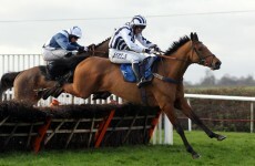 200/1 shot Lights of Broadway upsets the odds at Taunton