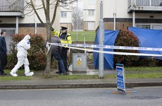 Gardaí probe fatal stabbing after man left dead at Tallaght house