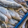 Lidl is in trouble for advertising 'fresh' fish which actually came from Namibia