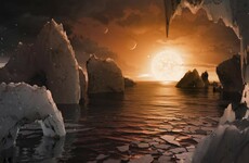 In major announcement, Nasa confirms seven Earth-like planets have been discovered