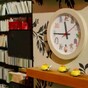 Video: what books do while people are asleep