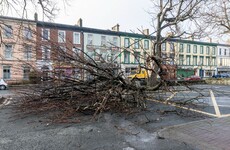 Pics: Storm Doris has wreaked just a little bit of havoc in Ireland today