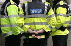 Man with loaded handgun chased by gardaí through Dublin park