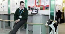 In pictures: Taoiseach opens this year's Young Scientist Exhibition