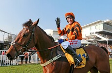 What's the Thistlecrack? Speculation mounts that former Gold Cup favourite might run after all