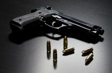 Gun, cannabis and suspected cocaine found in Tallaght industrial estate